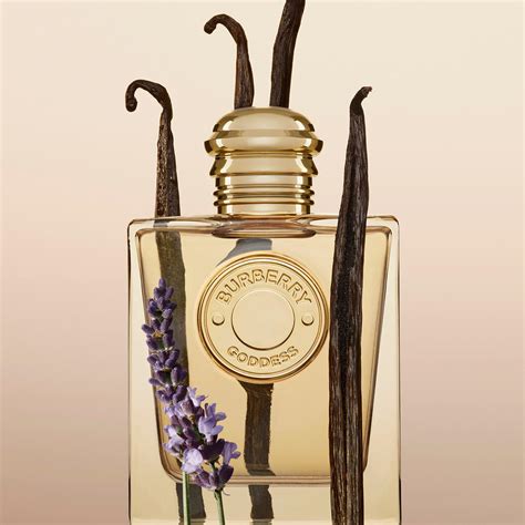 where to buy burberry goddess|burberry goddess 50 ml.